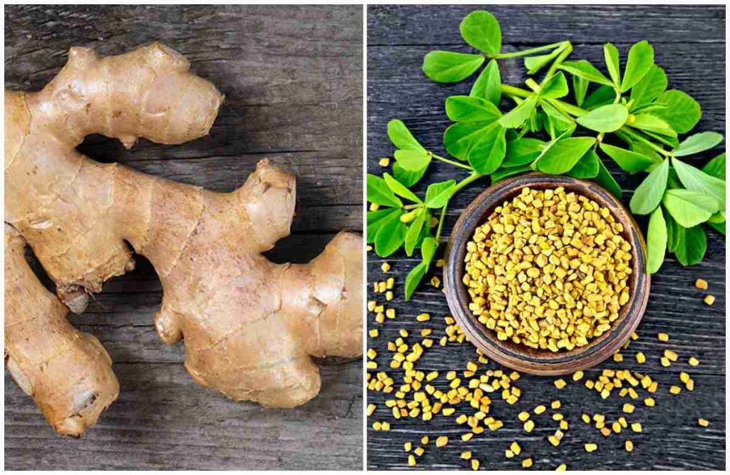 Ginger and Fenugreek Seed for Sugar Control Malayalam